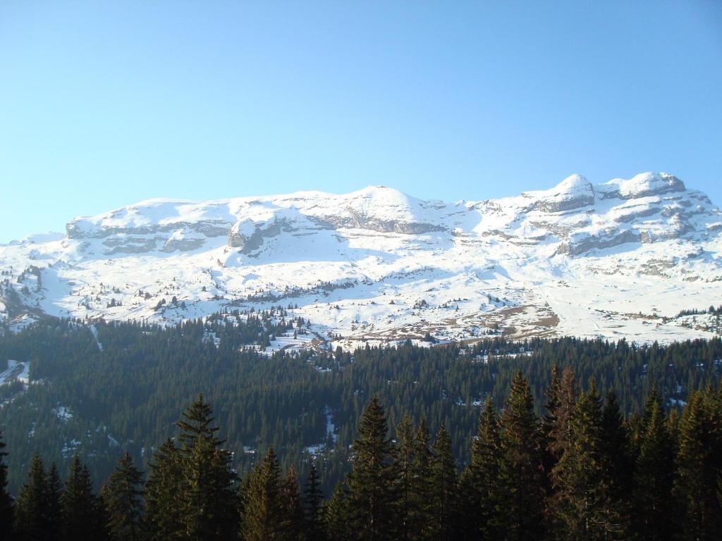 Flaine prime ski in, ski out Apartment - 3