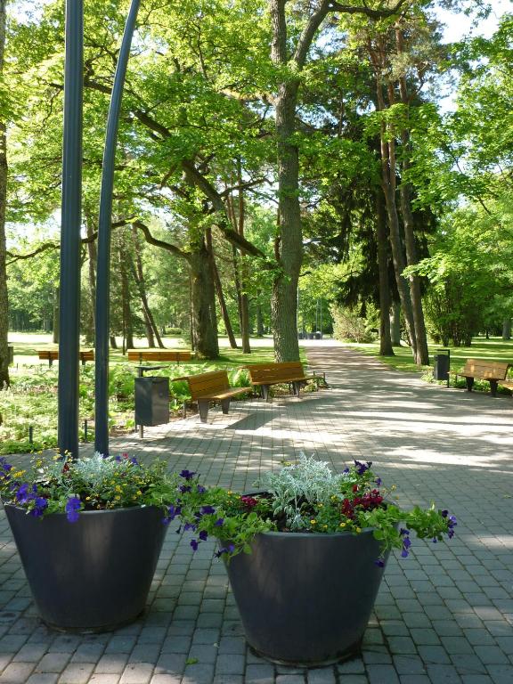 Surrounding environment