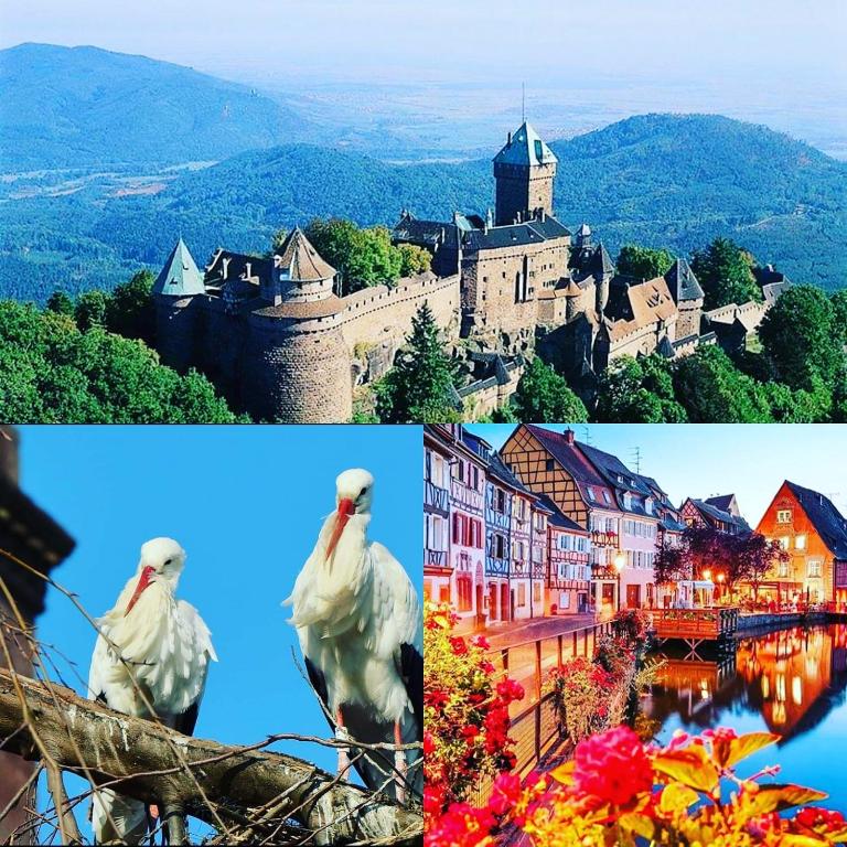 周辺観光スポット