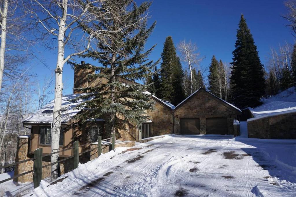 Co village. Сноумасс-Вилледж[en] (штат Колорадо, США). Альпийская 35. Сноумасс-Виллидж. Pine Creek Snowmass Colorado Houses photos.