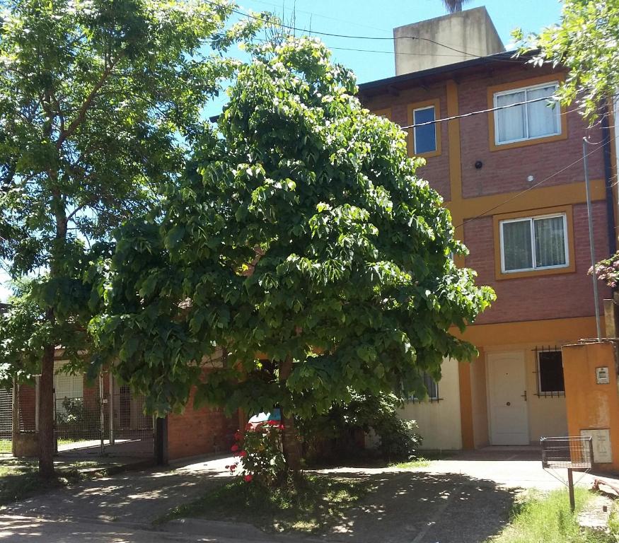 La Palmera escondida - 1