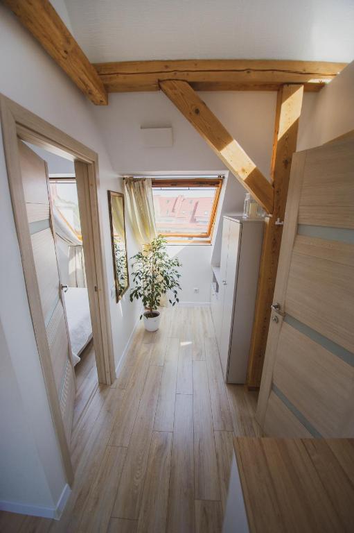 Apartamentai Niden - su terasa ir vaizdu i marias Nidos centre photo