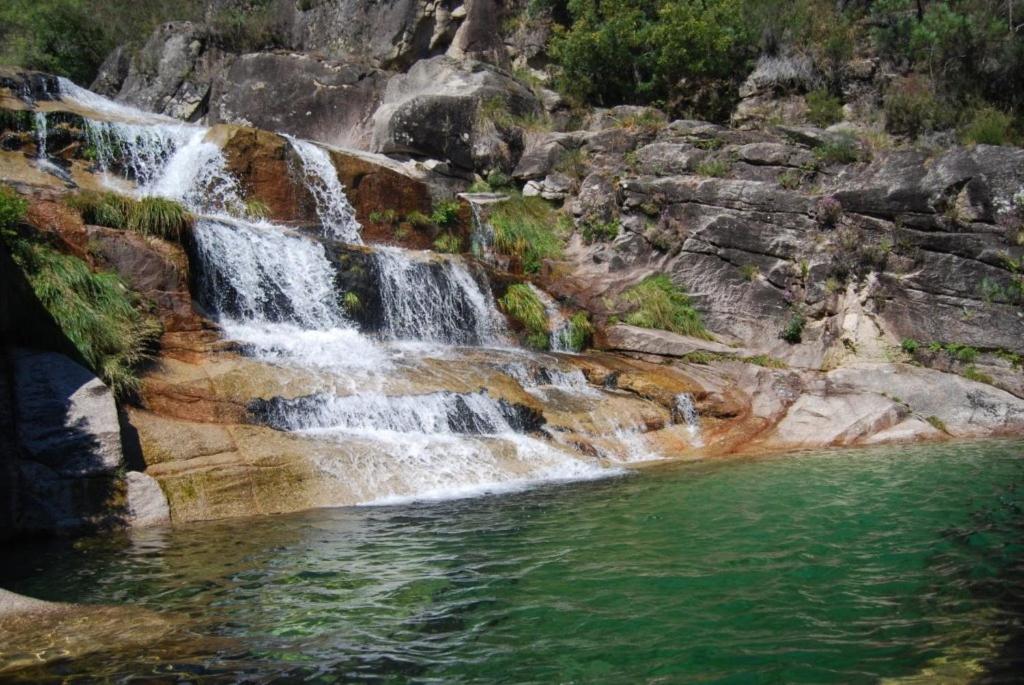 กิจกรรม