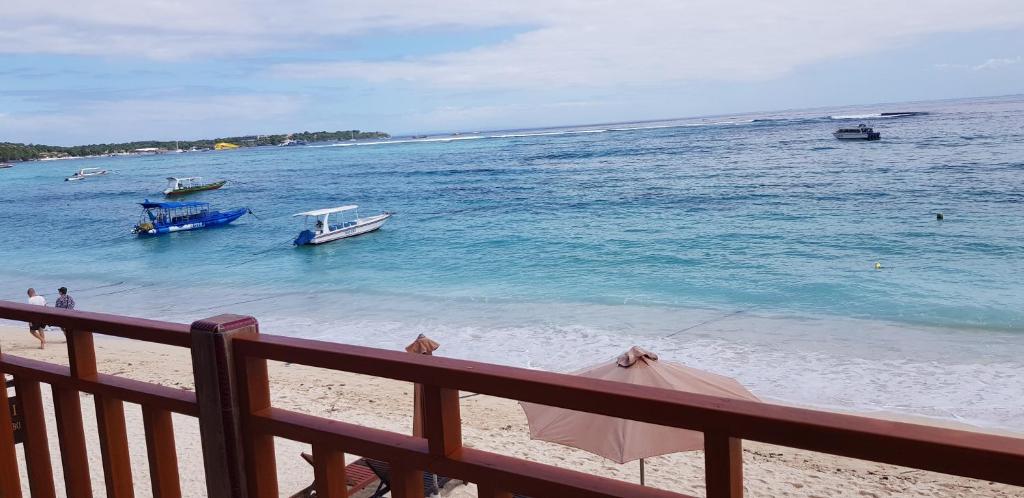 Segara beach Inn photo