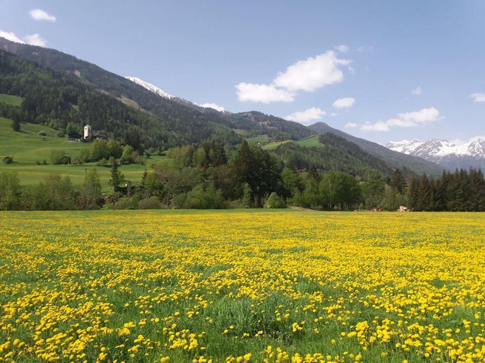 Gästeheim Pötscher - 2