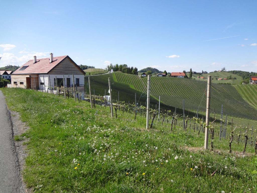 Weinstraßenapartment Fam. Dietrich - 3
