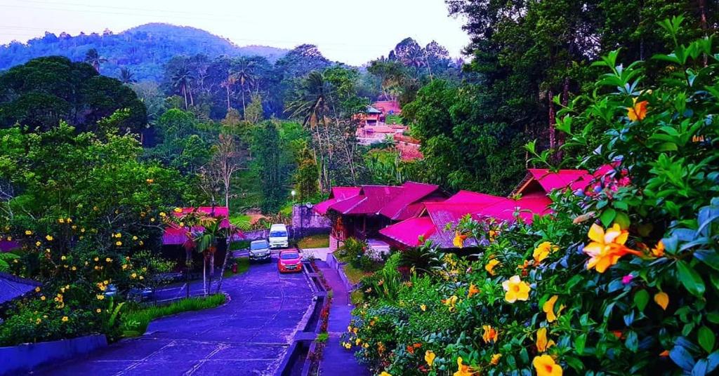 Highland Resort & Nature Tours photo