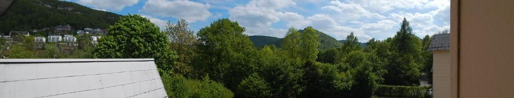 FREE Apartment - Burgblick photo