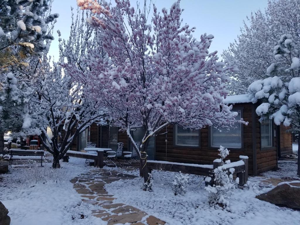 West Winds Lodge photo