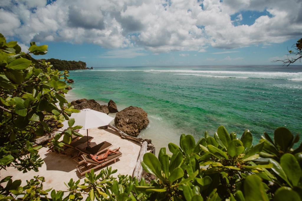 rock n reef photo