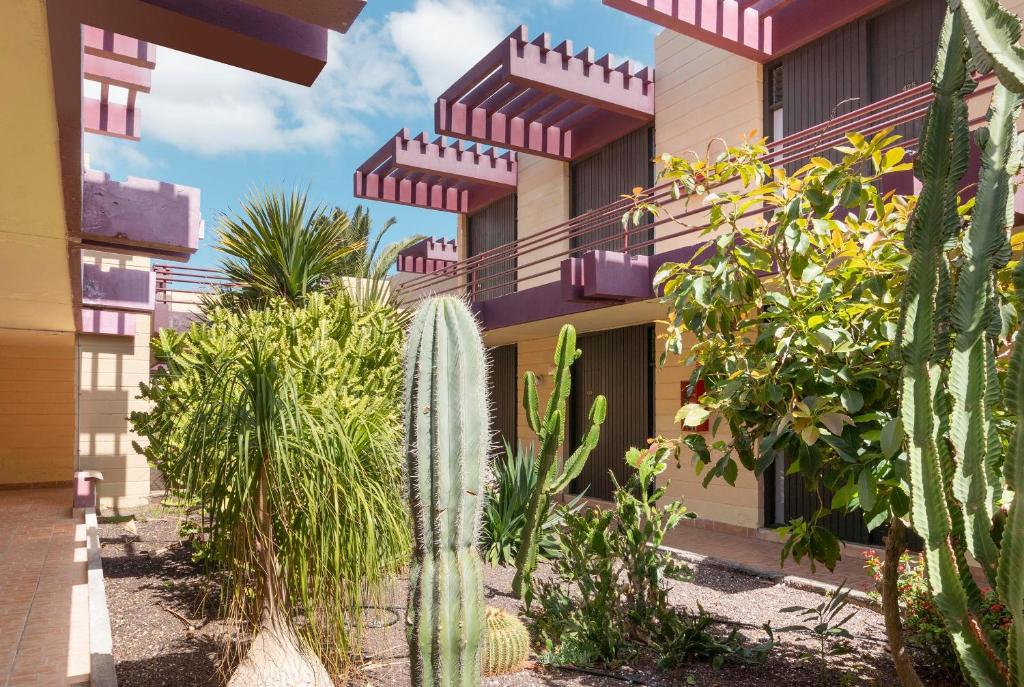 Hotel Palia Don Pedro — Hotel building in Costa Del Silencio, Canary Islands