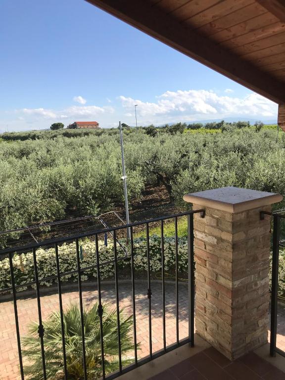 Il Podere del Carlone - 4