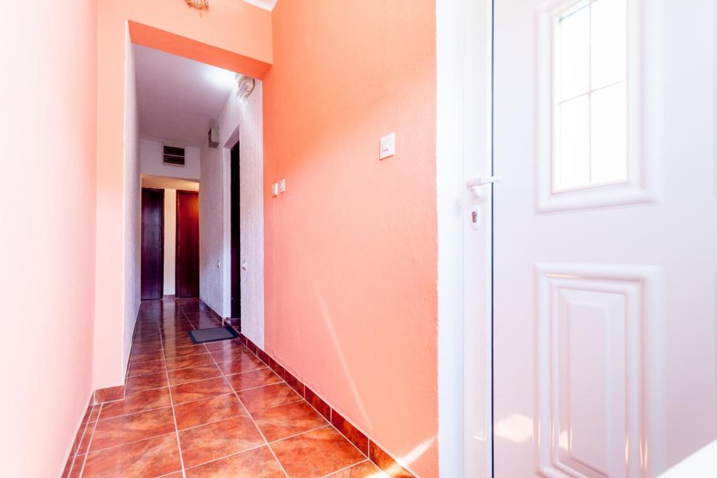Apartments Ruza photo
