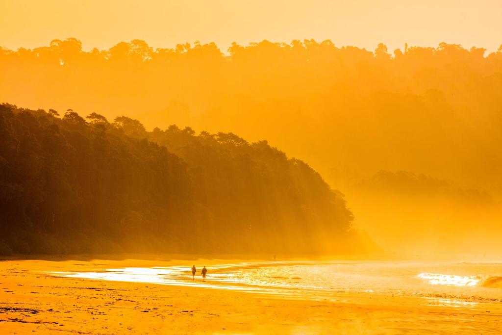 Taj Exotica Resort & Spa, Andamans photo
