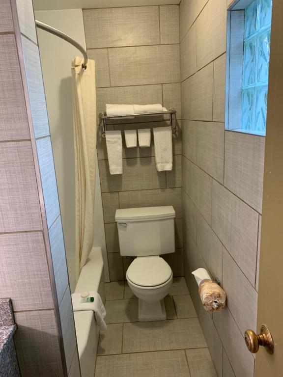 University Manor Inn photo
