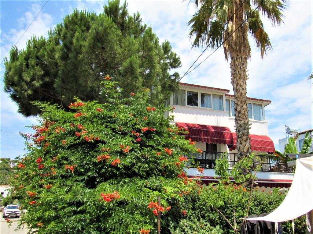 Melek Otel Angel Hotel Bodrum Book Your Hotel With Viamichelin