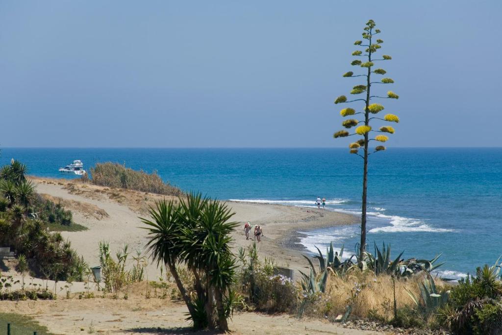 Apt 321 Heaven Beach Apartments Guadalmansa Playa - 5