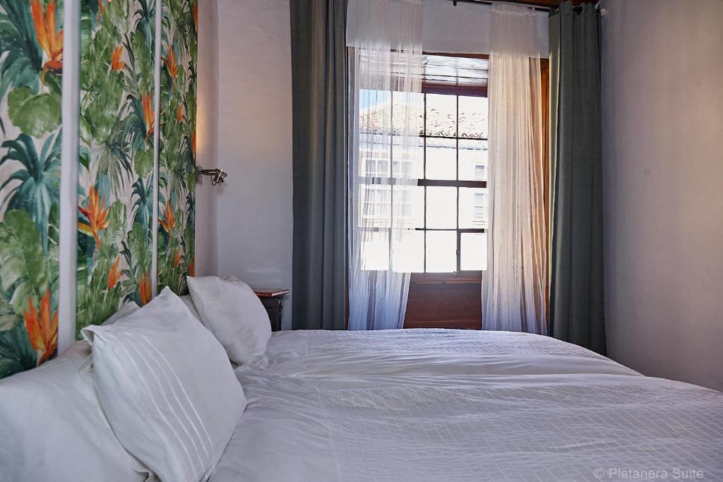 Platanera Suites photo