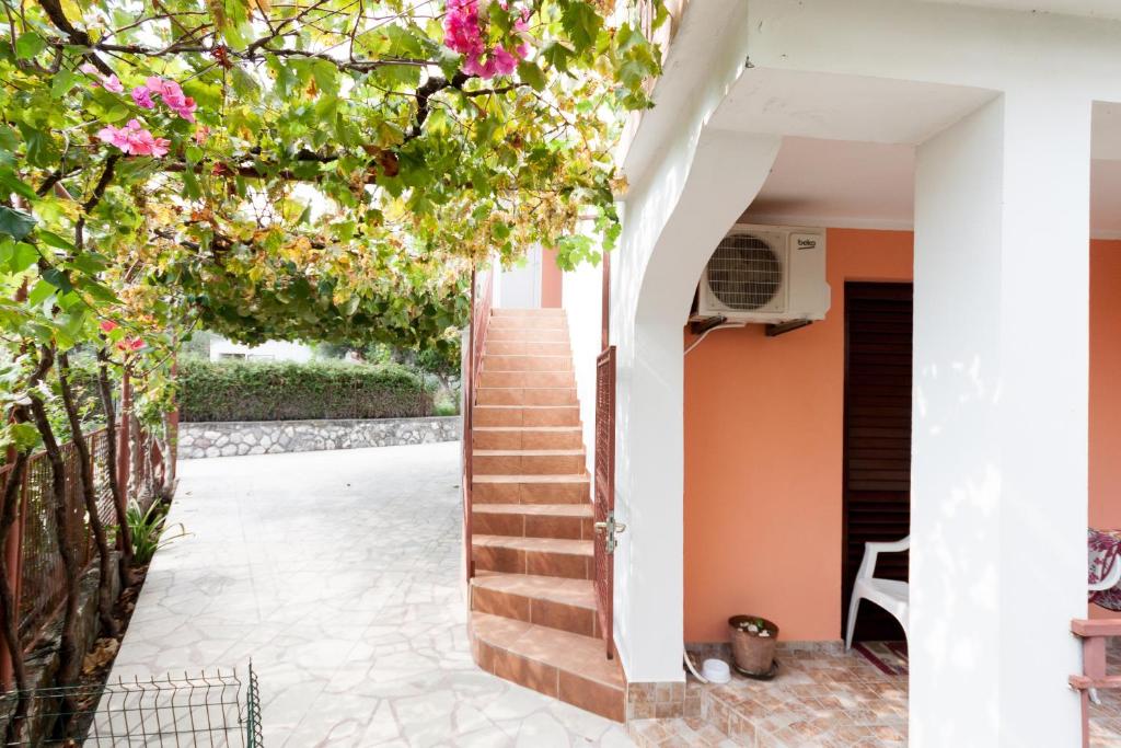 Apartments Ruza photo