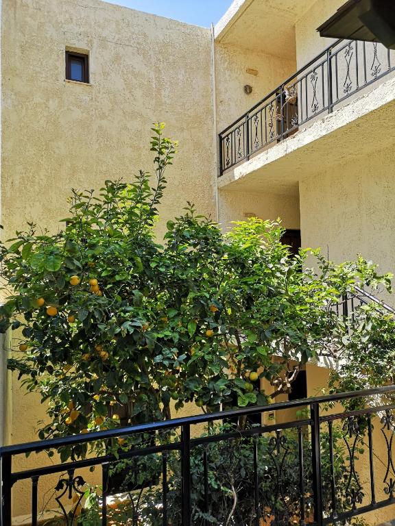 Katerina Apartments