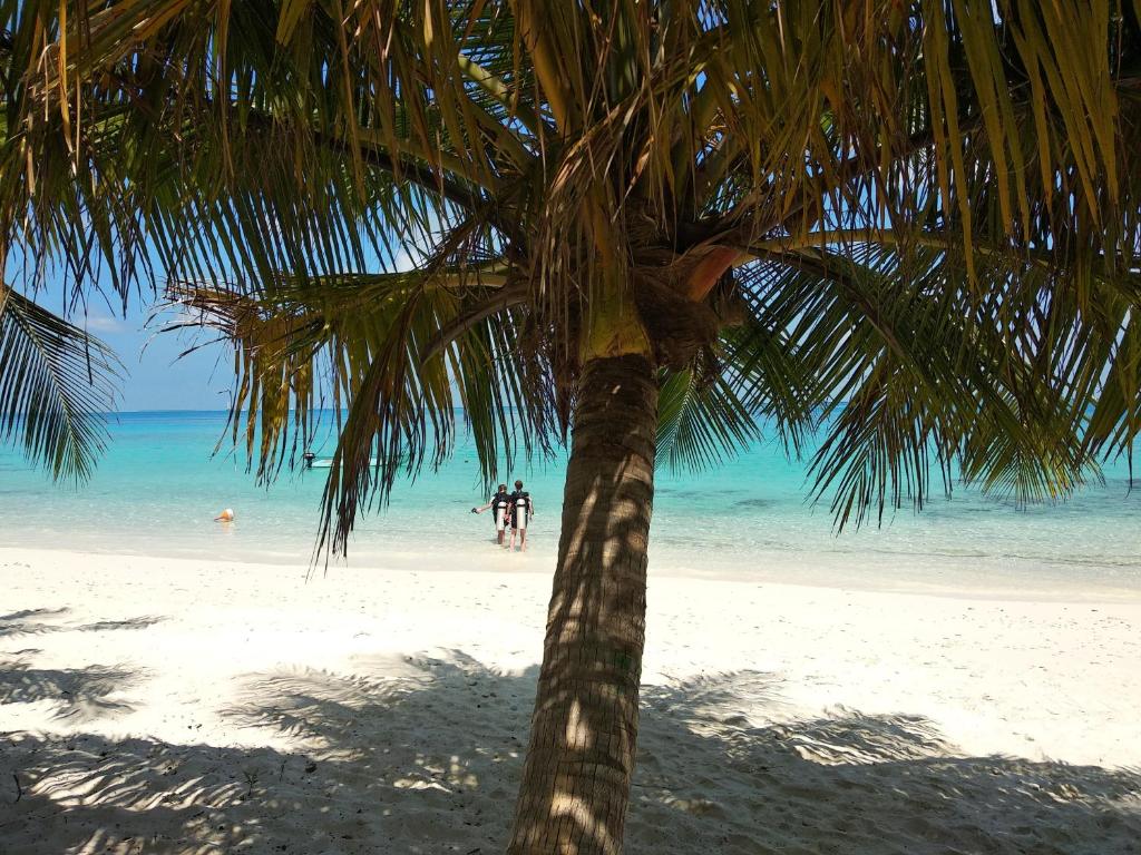 Dhigurah Beach Inn photo