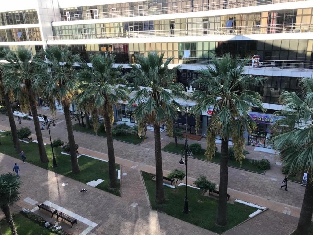 ак миррор сочи. апартаменты south mirror residence. ин сочи апартаменты навагинская. апартаменты на навагинской 3. апартаменты на навагинской сочи.