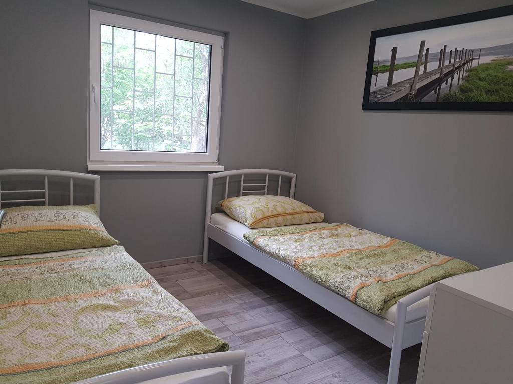 Picurka Apartman photo