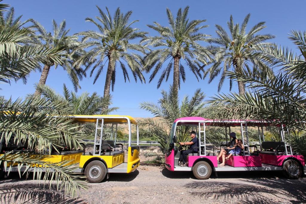 スポーツ/アクティビティ