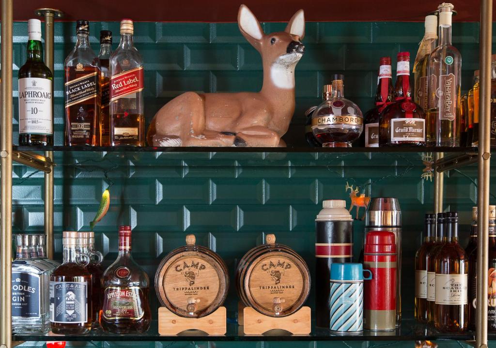 Graduate Madison Photo 15