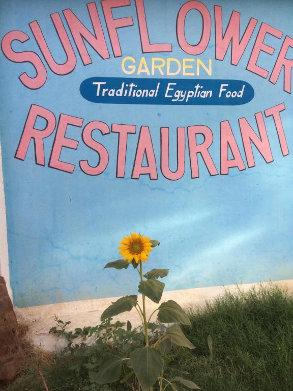 Sunflower Guest House Luxor West Bank photo