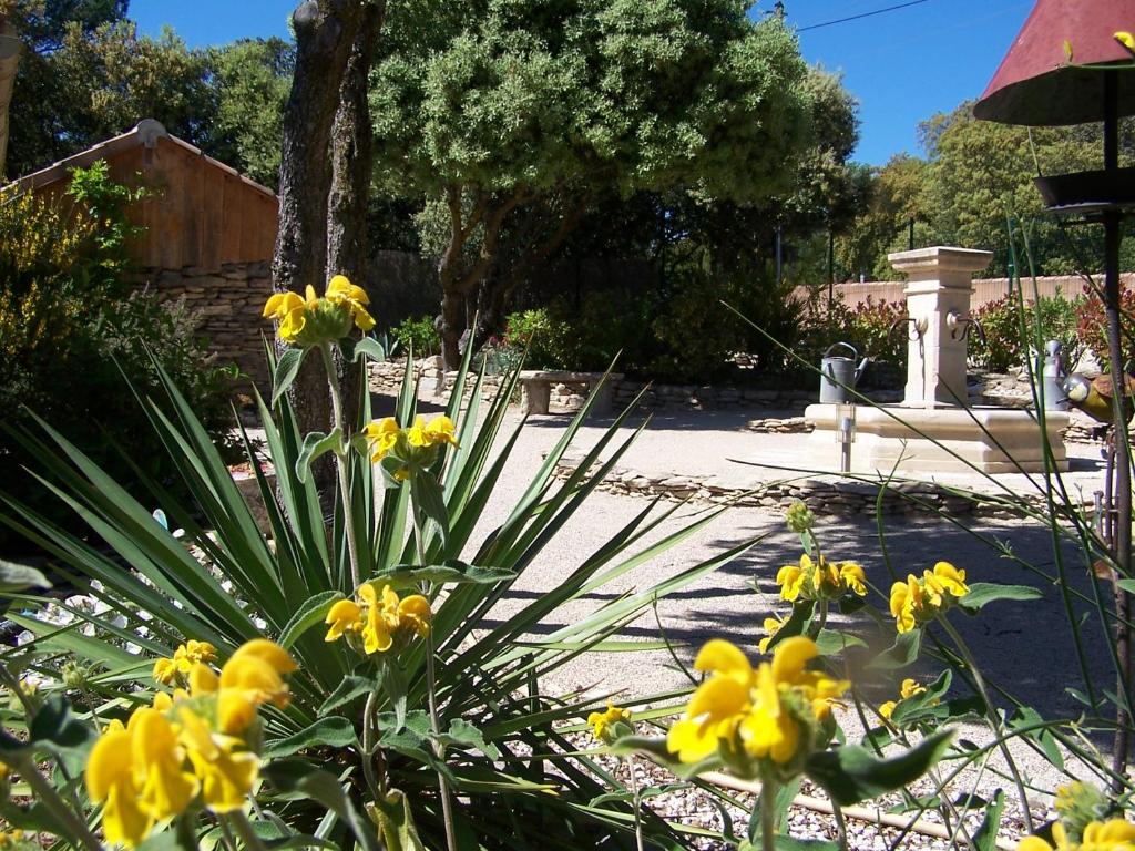 Les Florides - 3