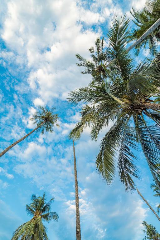 Surrounding environment