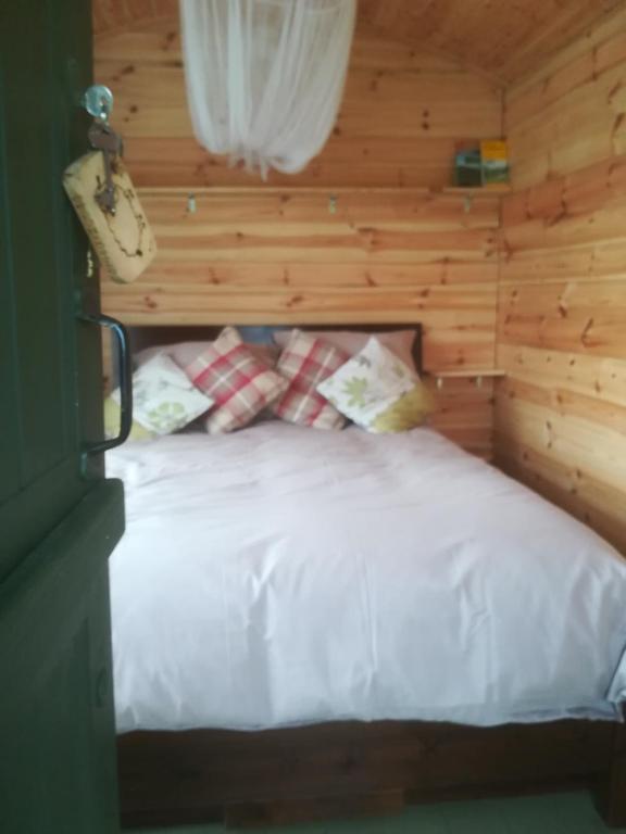 Serendipity Shepherd Hut photo
