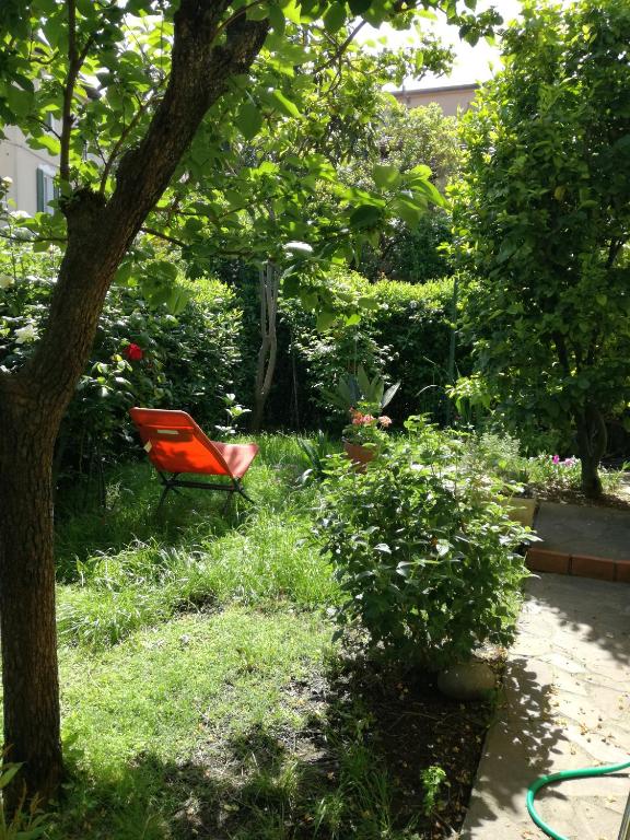 L'Olivo B&B - 4