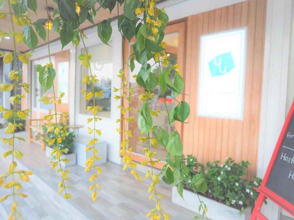 Nornnuea at Inthanon (SHA Extra Plus) photo