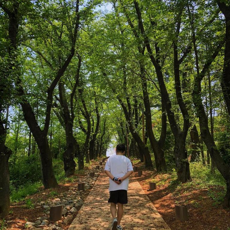 Surrounding environment