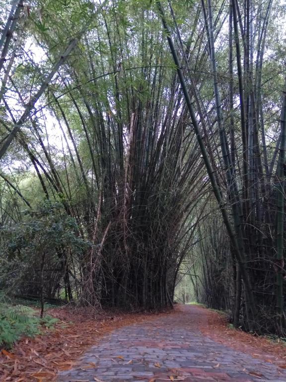 Surrounding environment