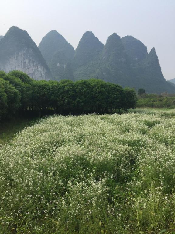 Surrounding environment