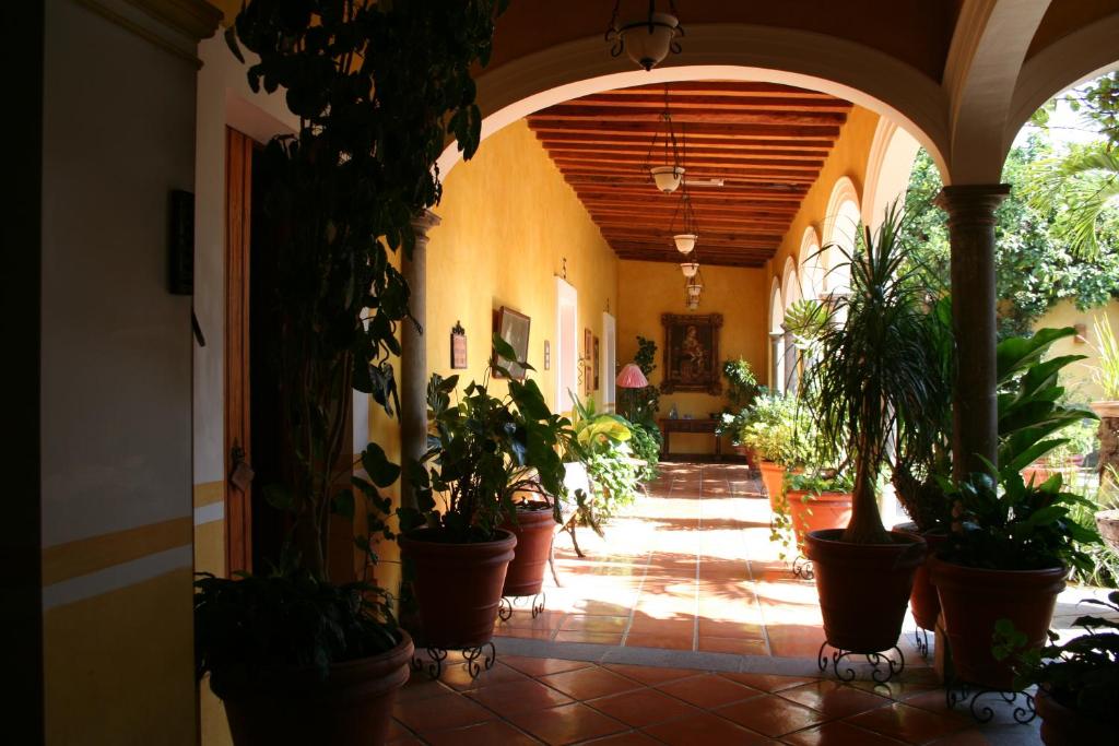 La Casa De Los Patios Hotel & Spa - Photo 1 of 62