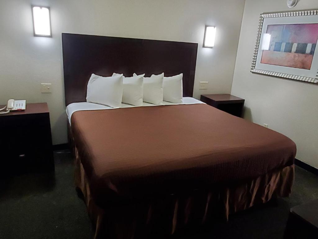 Executive Inn photo