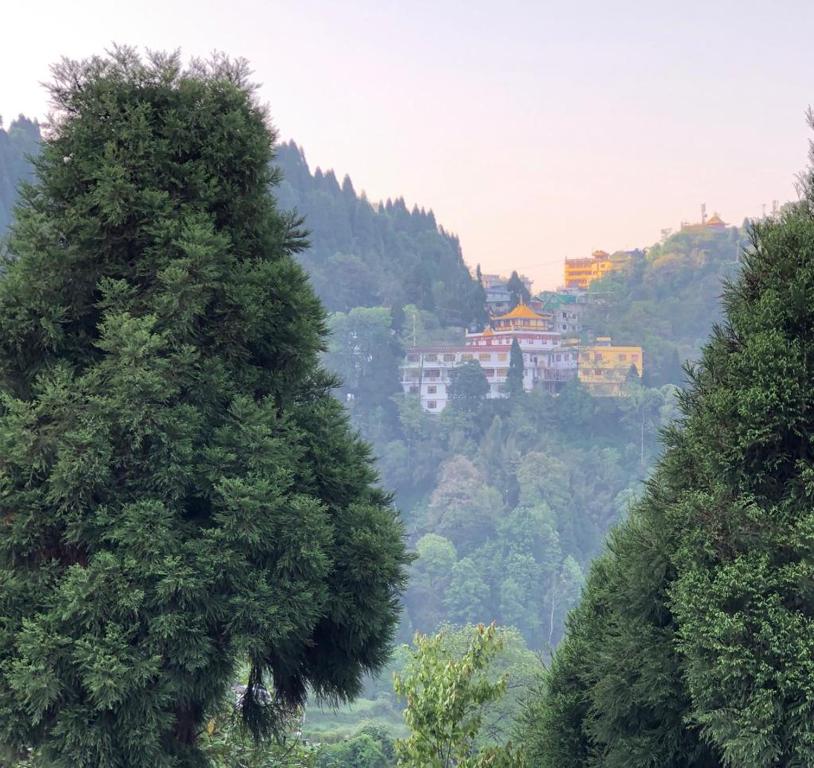 Green Tara Residency photo