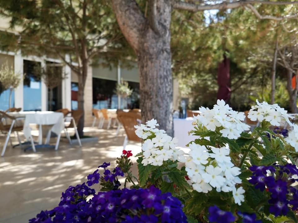 Hotel Edart — Restaurant & bars in Durres, Durres