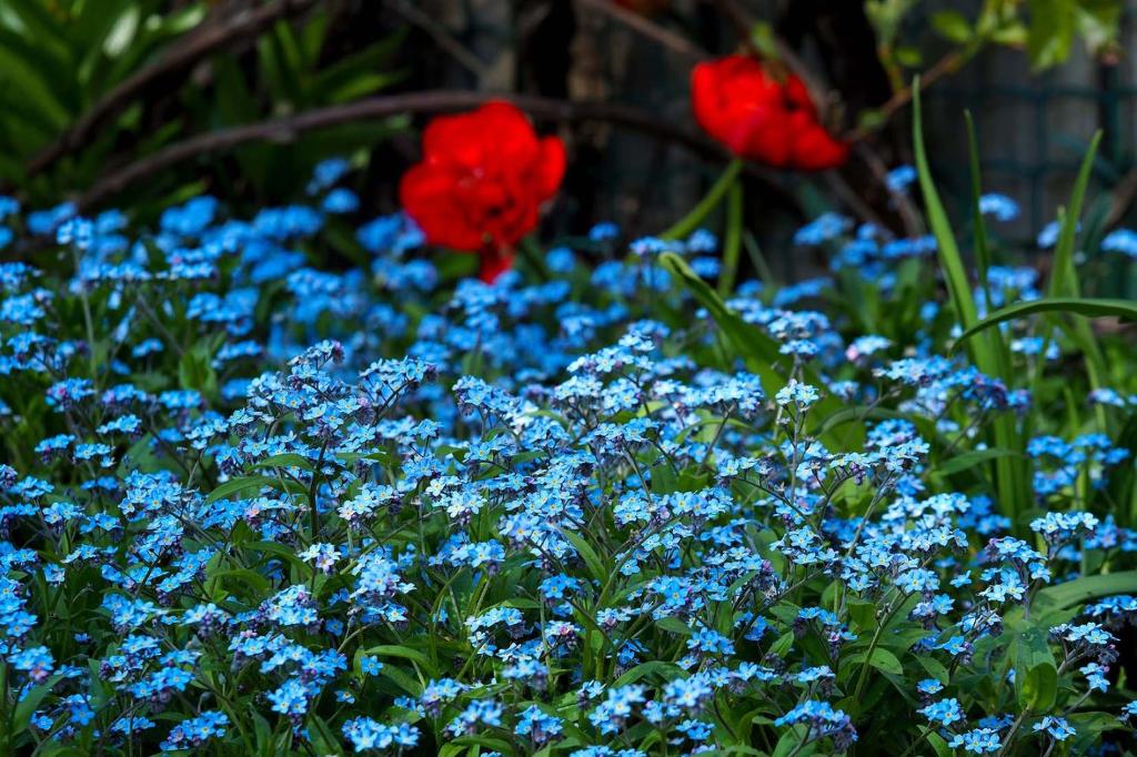 Ventspils Garden house photo