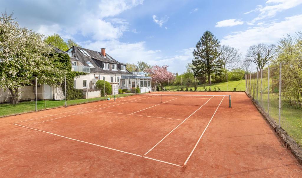 Pistas de tenis