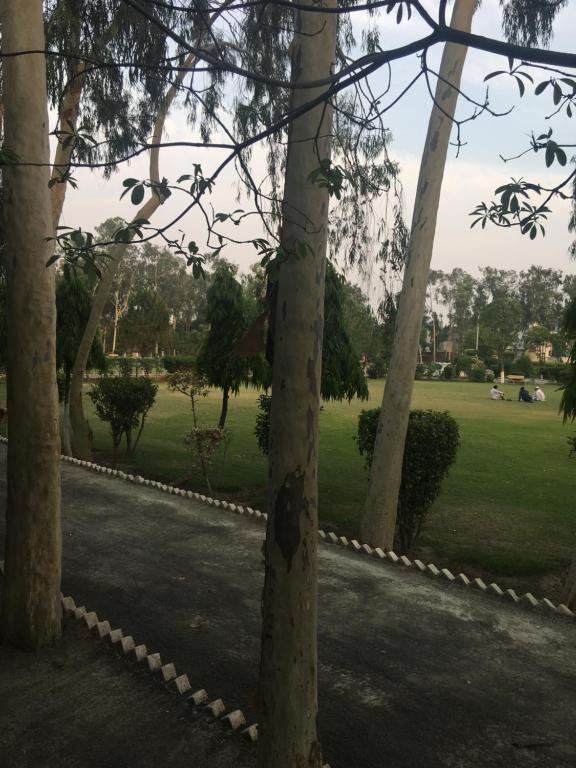 Apartment near Shaukat Khanum photo