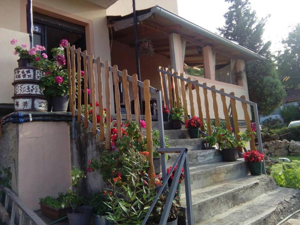 Apartmani Milosavljevic photo