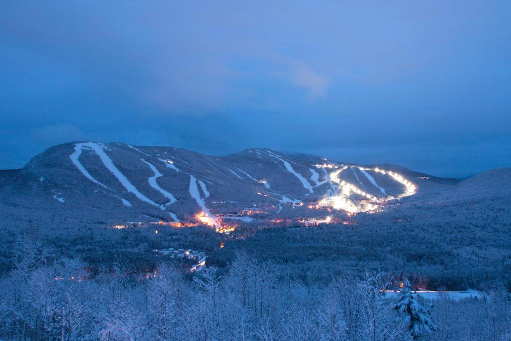 Snow Cap Inn photo