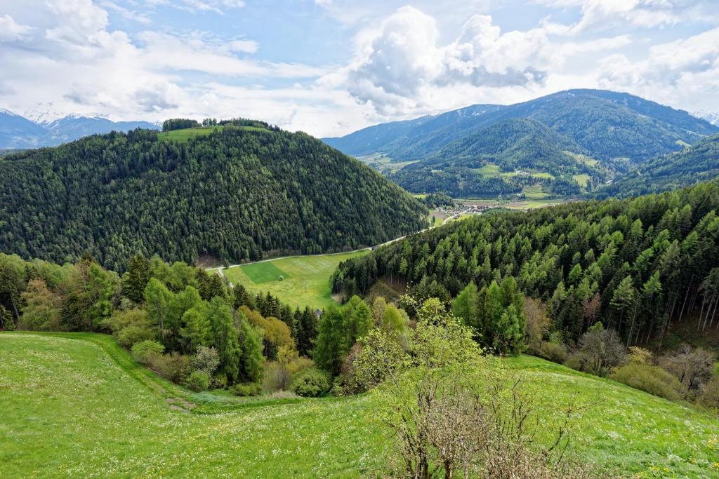 Kehrerhof Urlaub auf dem Bauernhof - 5