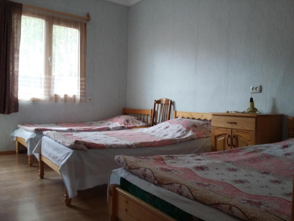 Emma's Guesthouse in Borjomi photo