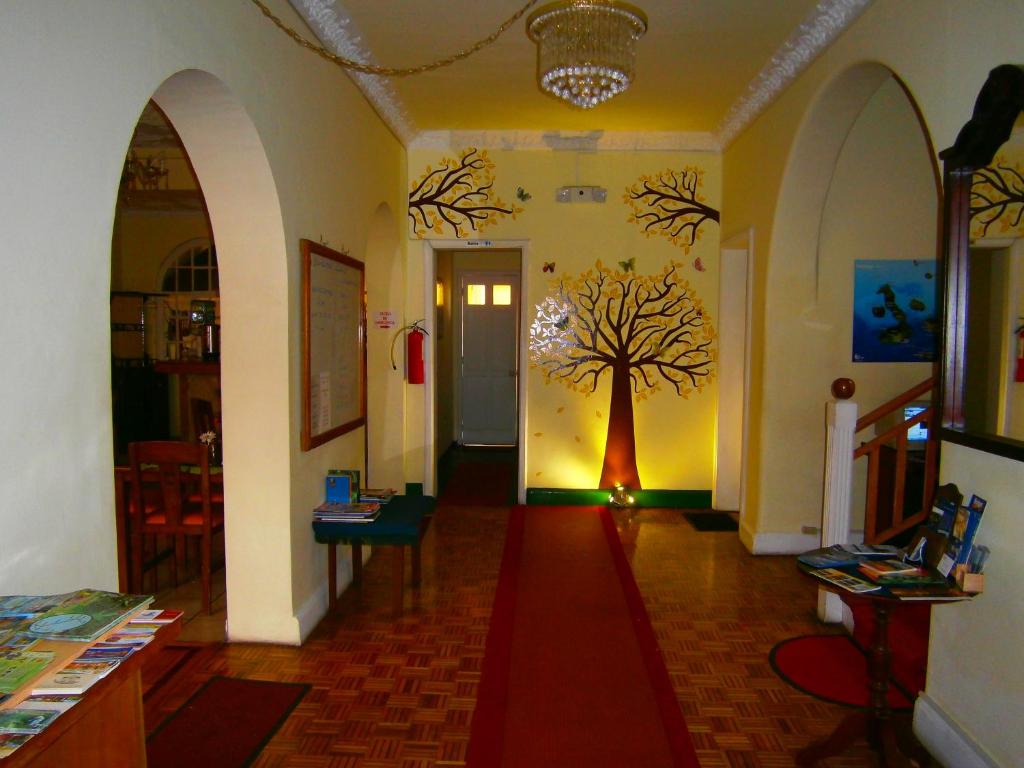 The Yellow House photo